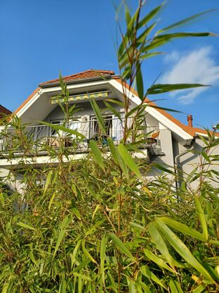 Sonnige Zeit - Objekt 60