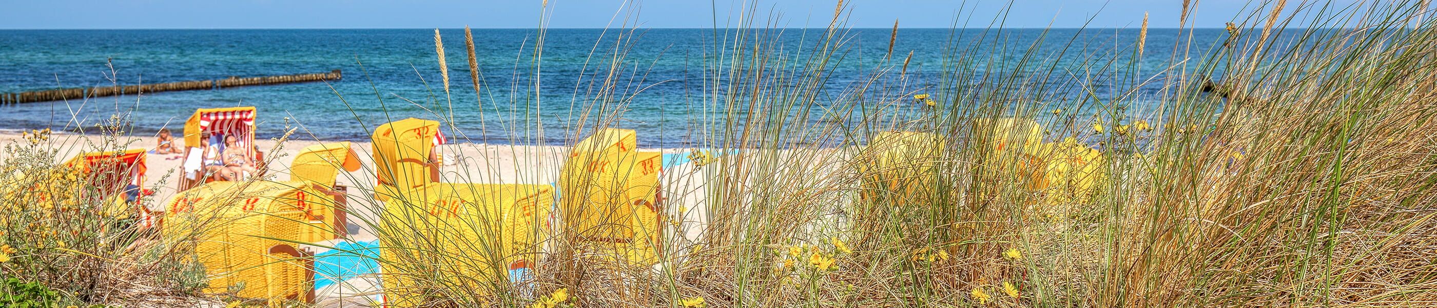 Strand mit Strandkörben und Dünengras an der Ostsee